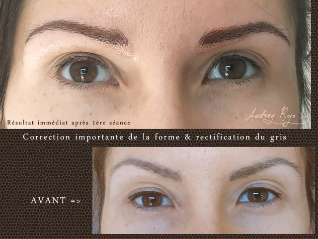 Les sourcils féminins de la grive artefact collent la décoration des  sourcils rapidement, le levage de tatouage de sourcil raffermissant pour  éviter