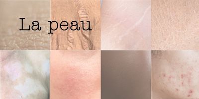 La peau : connaissances avant tatouage